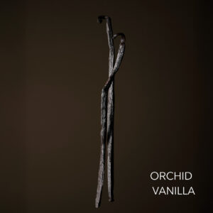 Orchid Vanilla